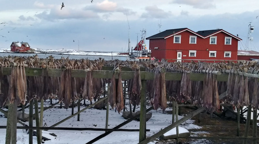 Evento alla scoperta dello Stoccafisso di Lofoten IGP