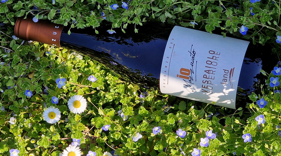 Articolo pubblicato su ioeilvino.it - Io Mazzucato: carattere, territorio e Vespaiola nel cuore di Breganze