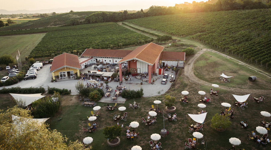 Degusta in Vigna - Estate 2026