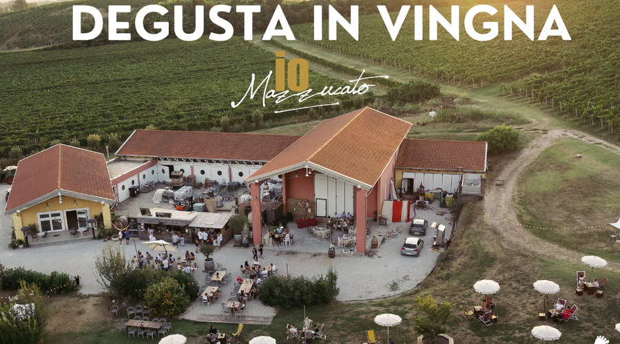 Degusta in Vigna a Breganze | Aperitivo tra i nostri vigneti – ioMazzucato