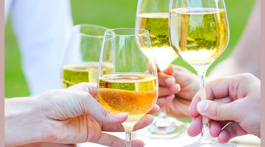 Degusta in Vigna | Estate 2025