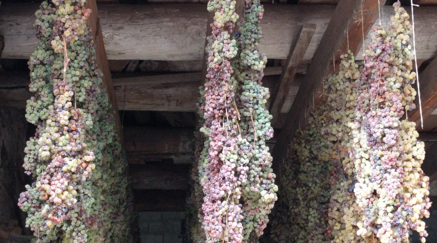 Articolo pubblicato su Cucina & Vini: La Vespaiola, il nostro territorio, la sua anima