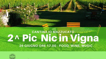 Pic Nic in Vigna - 2a Edizione