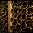 Translation missing: it.products.product.gallery_thumbnail_alt
